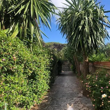 Puravida 3 Lägenhet Anzio